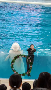 横浜・八景島シーパラダイスに投稿された画像（2022/6/22）