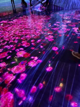 森ビル デジタルアート ミュージアム：エプソン チームラボボーダレスに投稿された画像（2022/6/22）