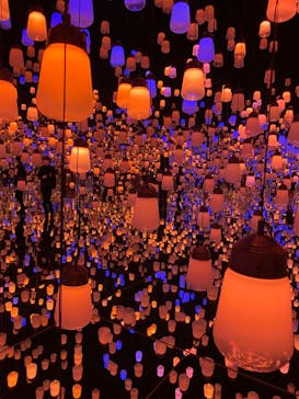 森ビル デジタルアート ミュージアム：エプソン チームラボボーダレスに投稿された画像（2022/6/22）