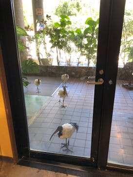 ネオパークオキナワに投稿された画像（2022/6/22）