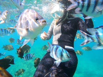 沖縄マリンサービス碧に投稿された画像（2022/6/22）