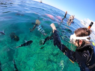 沖縄マリンサービス碧に投稿された画像（2022/6/22）