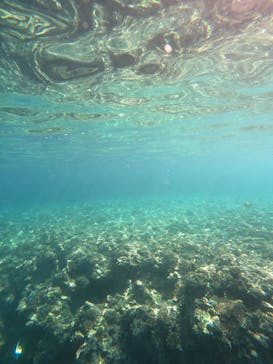 沖縄マリンサービス碧に投稿された画像（2022/6/22）