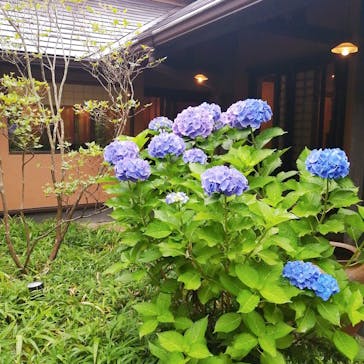 箱根湯寮に投稿された画像（2022/6/22）