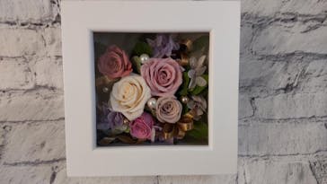 プティアメリに投稿された画像（2022/6/22）