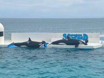 鴨川シーワールドに投稿された画像（2022/6/22）