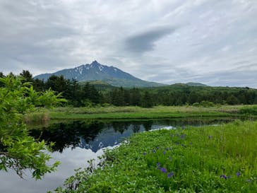 利尻はなガイドクラブに投稿された画像（2022/6/23）