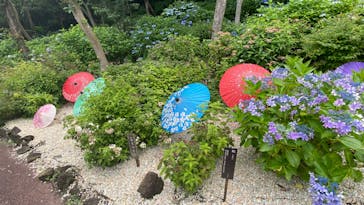 ニューヨークランプミュージアム＆フラワーガーデンに投稿された画像（2022/6/23）