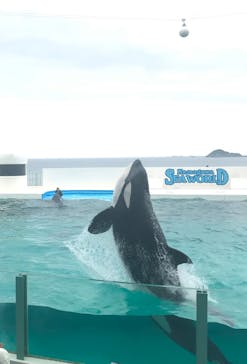 鴨川シーワールドに投稿された画像（2022/6/23）