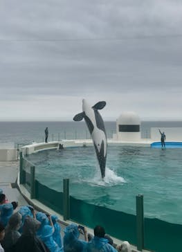 鴨川シーワールドに投稿された画像（2022/6/23）