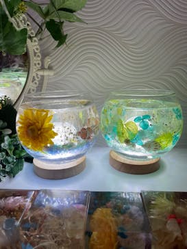 ずこうしつ〜sugamo〜に投稿された画像（2022/6/23）