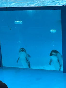 伊豆・三津シーパラダイスに投稿された画像（2022/6/23）