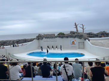 鴨川シーワールドに投稿された画像（2022/6/23）