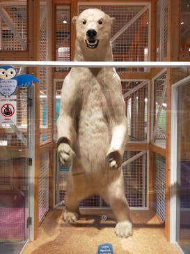 国立科学博物館に投稿された画像（2022/6/23）