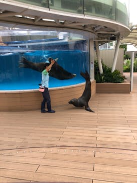 サンシャイン水族館に投稿された画像（2022/6/23）