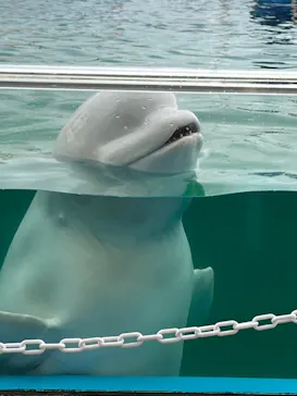 横浜・八景島シーパラダイスに投稿された画像（2022/6/23）