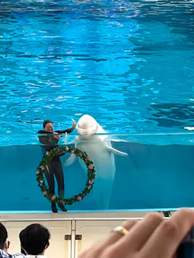 横浜・八景島シーパラダイスに投稿された画像（2022/6/23）