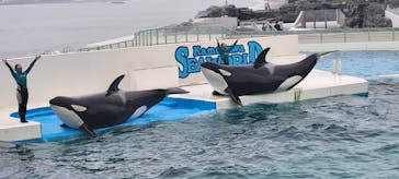 鴨川シーワールドに投稿された画像（2022/6/23）