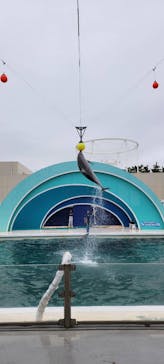 鴨川シーワールドに投稿された画像（2022/6/23）