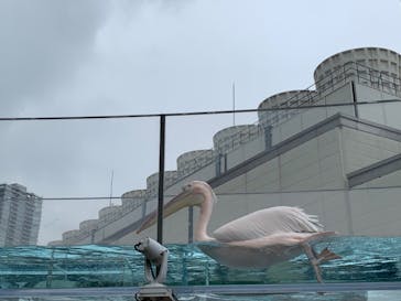 サンシャイン水族館に投稿された画像（2022/6/23）