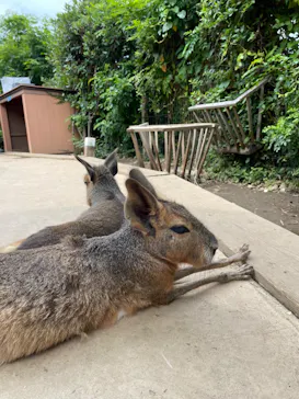 横浜・八景島シーパラダイスに投稿された画像（2022/6/23）