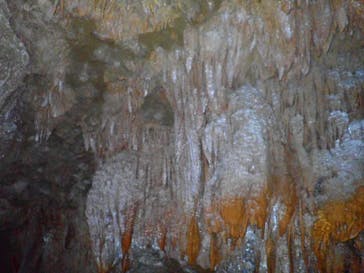 宮古島 ADVENTURE PiPi（ミヤコジマ アドベンチャー ピピ）に投稿された画像（2022/6/23）