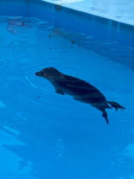 東武動物公園に投稿された画像（2022/6/24）