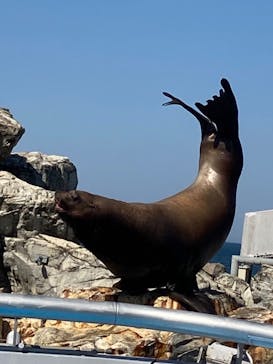 大分マリーンパレス水族館 「うみたまご」に投稿された画像（2022/6/24）
