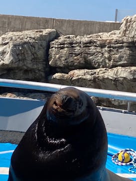 大分マリーンパレス水族館 「うみたまご」に投稿された画像（2022/6/24）