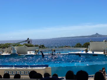 沖縄美ら海水族館に投稿された画像（2022/6/24）