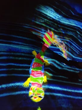 森ビル デジタルアート ミュージアム：エプソン チームラボボーダレスに投稿された画像（2022/6/24）