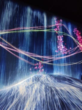 森ビル デジタルアート ミュージアム：エプソン チームラボボーダレスに投稿された画像（2022/6/24）