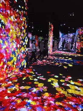 森ビル デジタルアート ミュージアム：エプソン チームラボボーダレスに投稿された画像（2022/6/24）