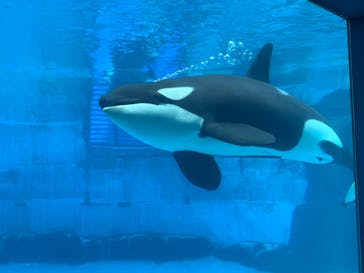 名古屋港水族館に投稿された画像（2022/6/24）