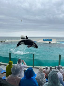 鴨川シーワールドに投稿された画像（2022/6/24）