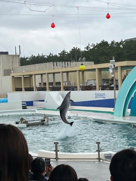 鴨川シーワールドに投稿された画像（2022/6/24）