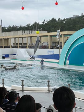 鴨川シーワールドに投稿された画像（2022/6/24）