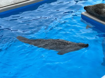 鴨川シーワールドに投稿された画像（2022/6/24）