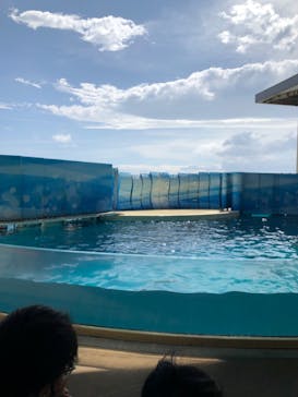 新江ノ島水族館に投稿された画像（2022/6/24）
