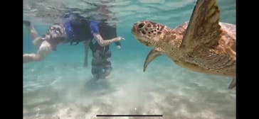 宮古島 ADVENTURE PiPi（ミヤコジマ アドベンチャー ピピ）に投稿された画像（2022/6/24）