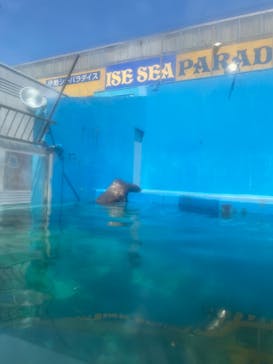 ゼロ距離水族館 伊勢シーパラダイスに投稿された画像（2022/6/24）