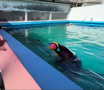 ゼロ距離水族館 伊勢シーパラダイスに投稿された画像（2022/6/24）