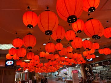 ゼロ距離水族館 伊勢シーパラダイスに投稿された画像（2022/6/24）