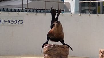 伊豆・三津シーパラダイスに投稿された画像（2022/6/24）