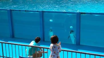 伊豆・三津シーパラダイスに投稿された画像（2022/6/24）