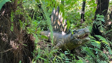 御菓子御殿　名護店　やんばる亜熱帯の森DINO恐竜PARKに投稿された画像（2022/6/24）