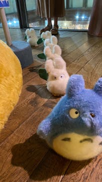 伊豆テディベア・ミュージアムに投稿された画像（2022/6/24）