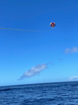 Sea World（シーワールド）に投稿された画像（2022/6/24）