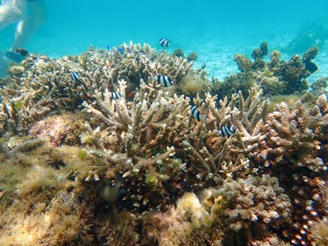 ちゃこたびに投稿された画像（2022/6/25）