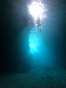 武藤潜水に投稿された画像（2022/6/25）